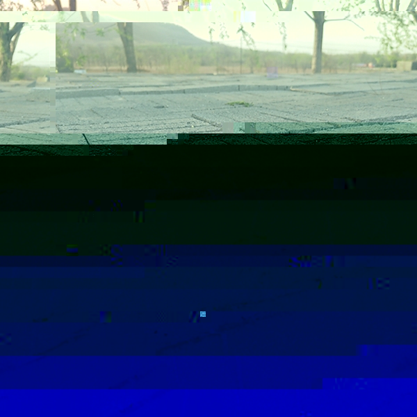 水泥磚
